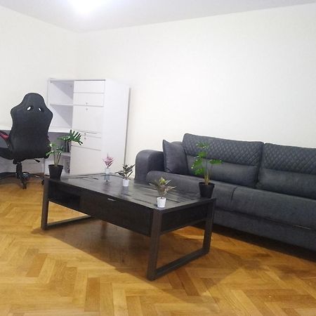 Charming Flat Center And Near The Lake Genève Eksteriør bilde
