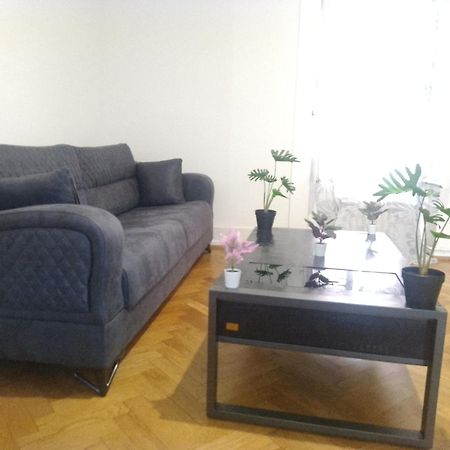 Charming Flat Center And Near The Lake Genève Eksteriør bilde