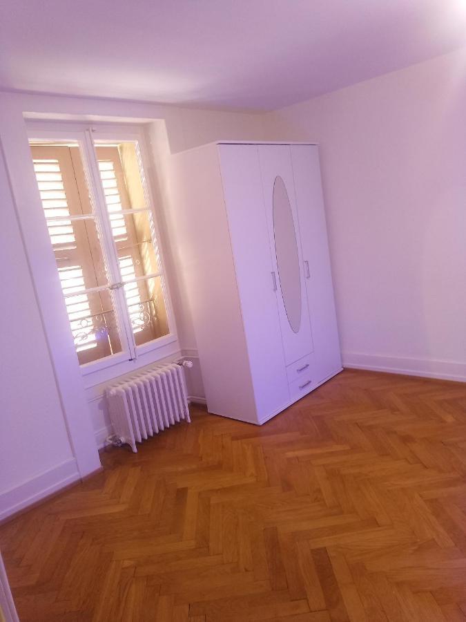 Charming Flat Center And Near The Lake Genève Eksteriør bilde