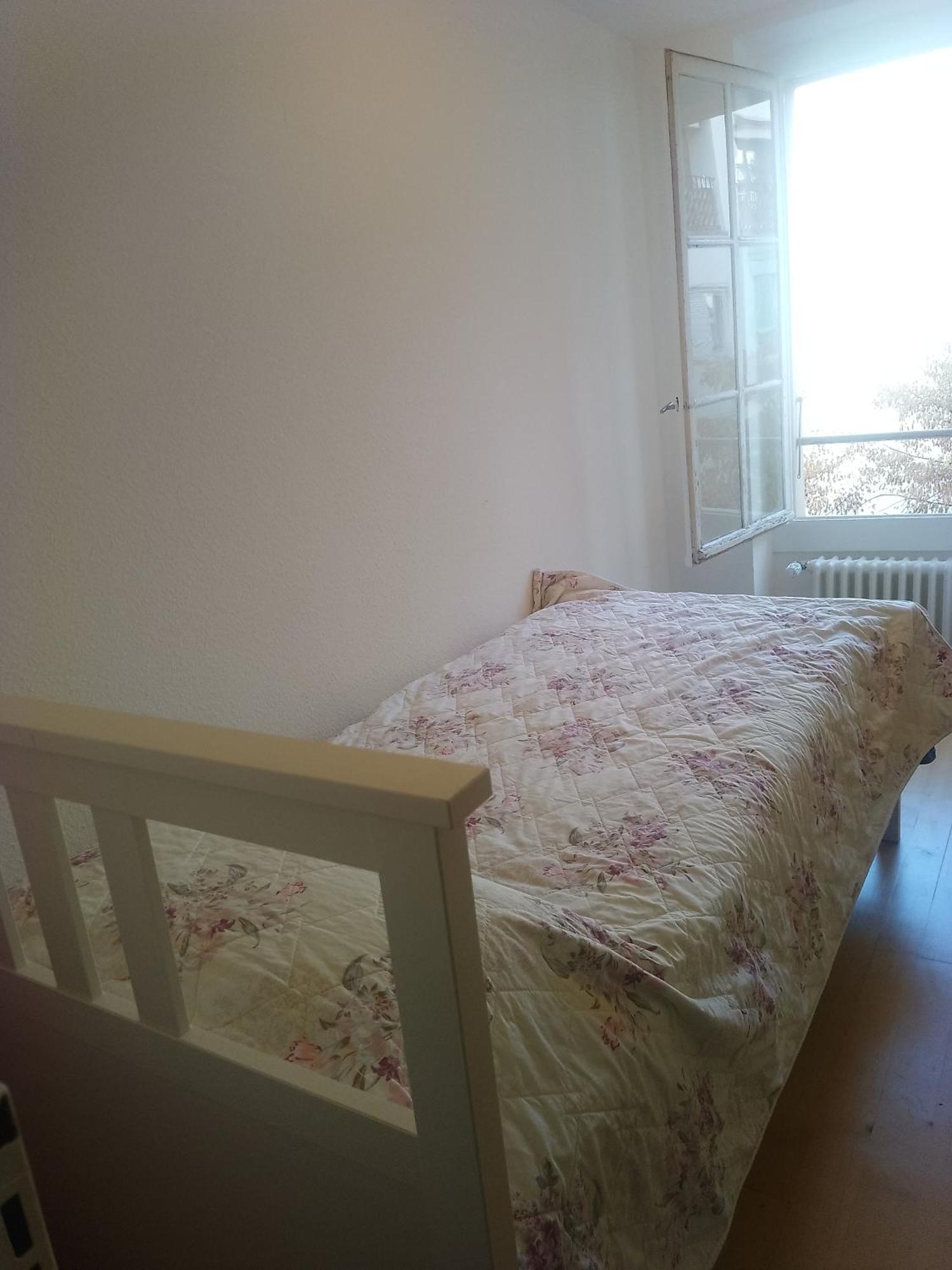 Charming Flat Center And Near The Lake Genève Eksteriør bilde