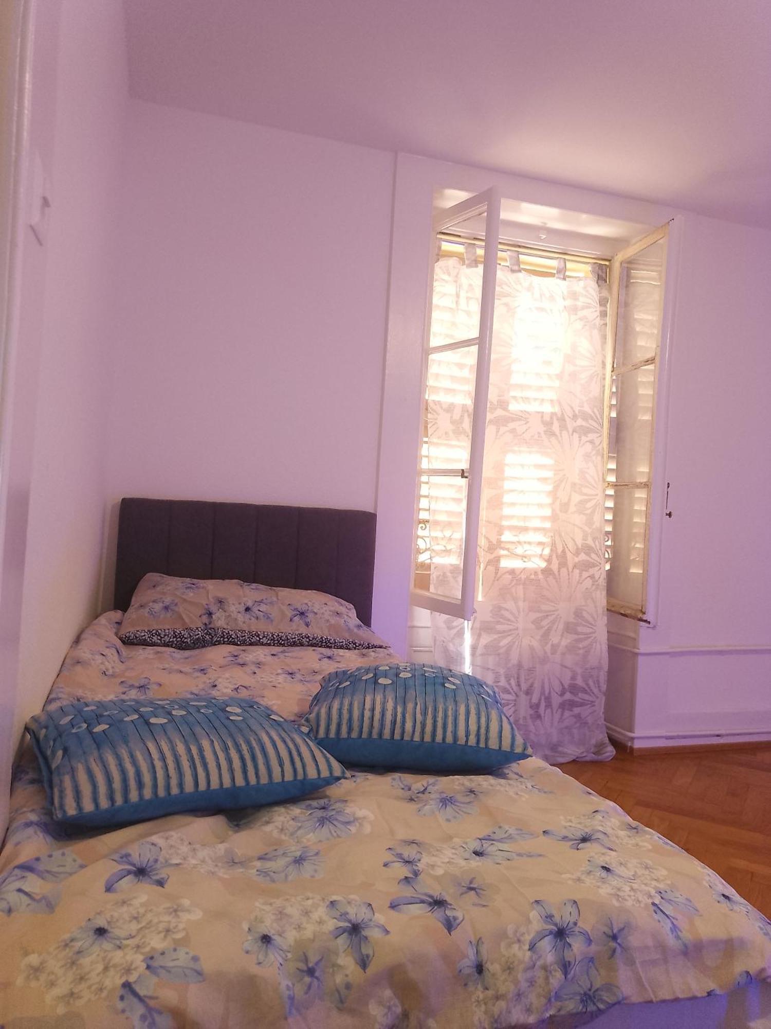 Charming Flat Center And Near The Lake Genève Eksteriør bilde