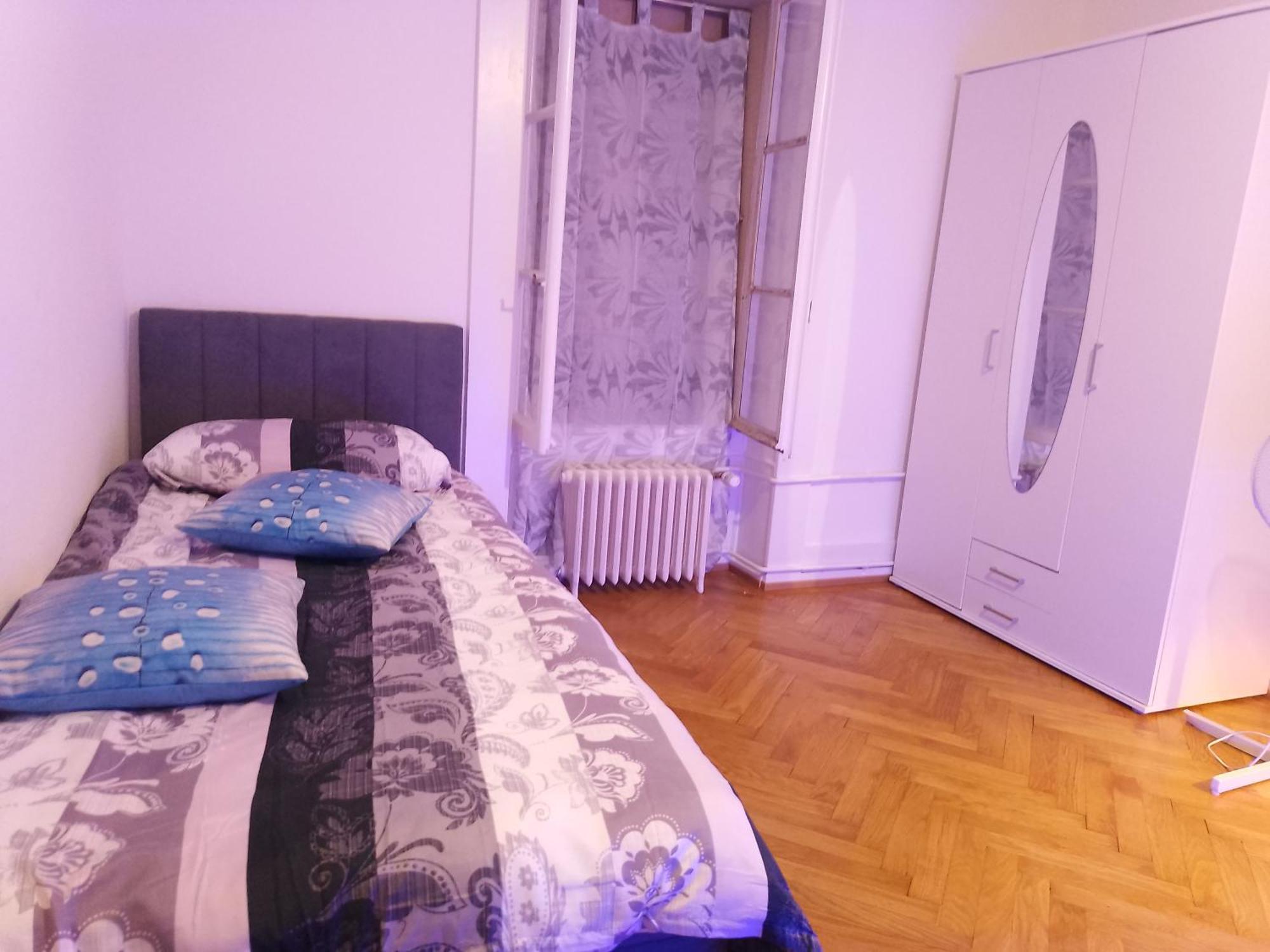Charming Flat Center And Near The Lake Genève Eksteriør bilde