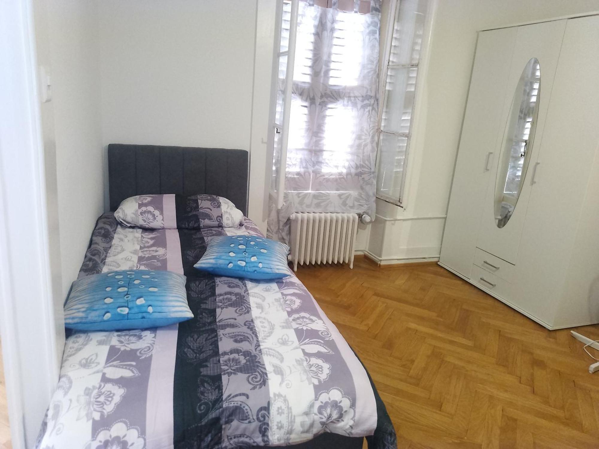 Charming Flat Center And Near The Lake Genève Eksteriør bilde