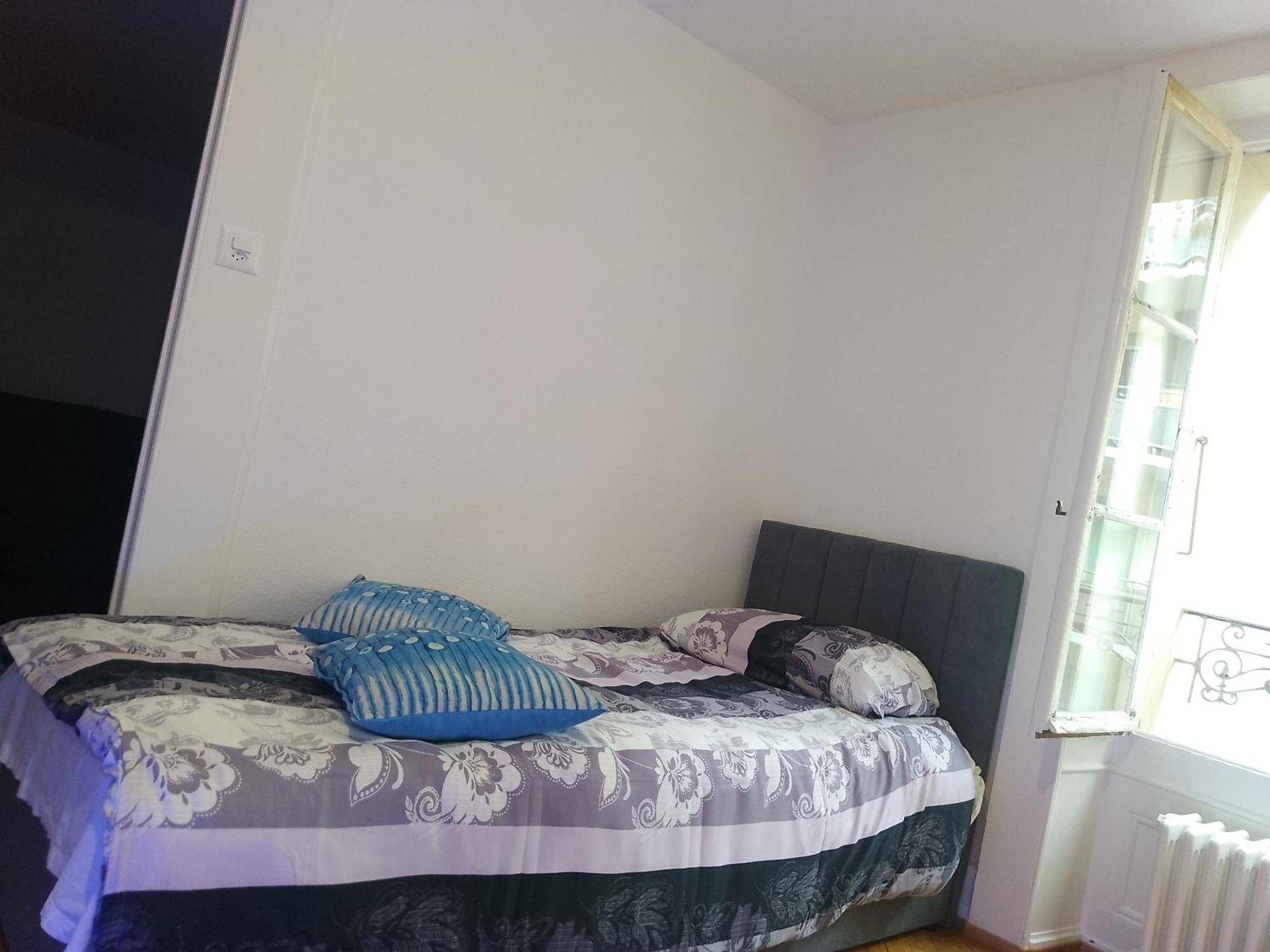 Charming Flat Center And Near The Lake Genève Eksteriør bilde