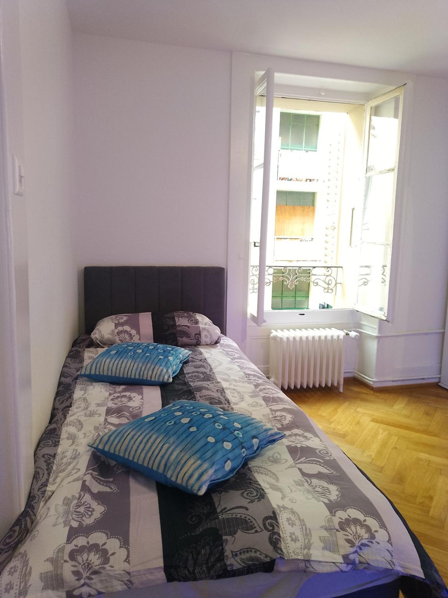 Charming Flat Center And Near The Lake Genève Eksteriør bilde
